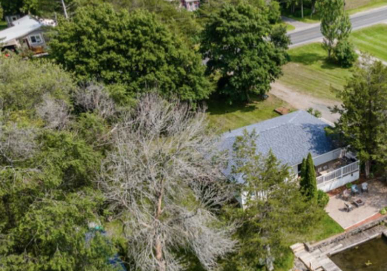 970-county-road-38-trent-hills-ontario-x12353923