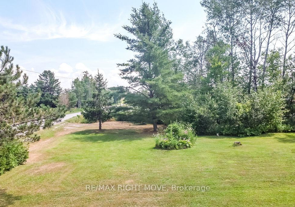 20-hills-road-kawartha-lakes-ontario-x12354304