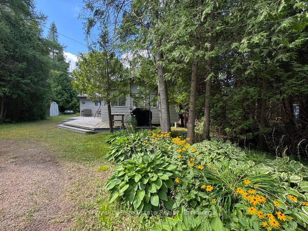 5-15th-street-s-native-leased-lands-ontario-x12358673