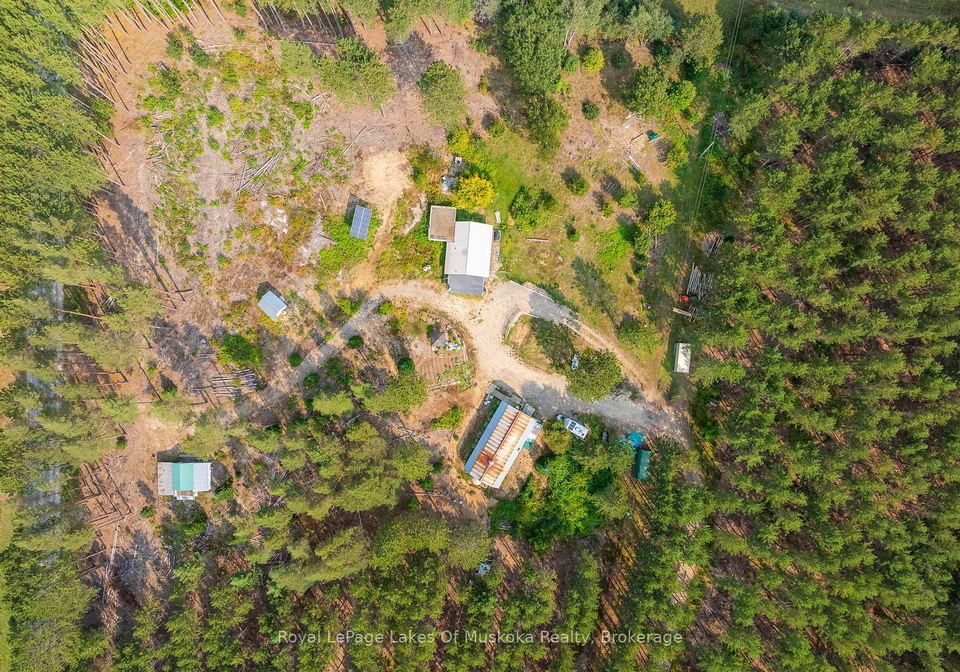 165-james-camp-road-ryerson-ontario-x12359877