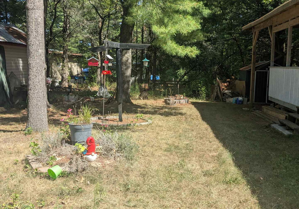 255-pinnacle-hill-road-alnwickhaldimand-ontario-x12361455