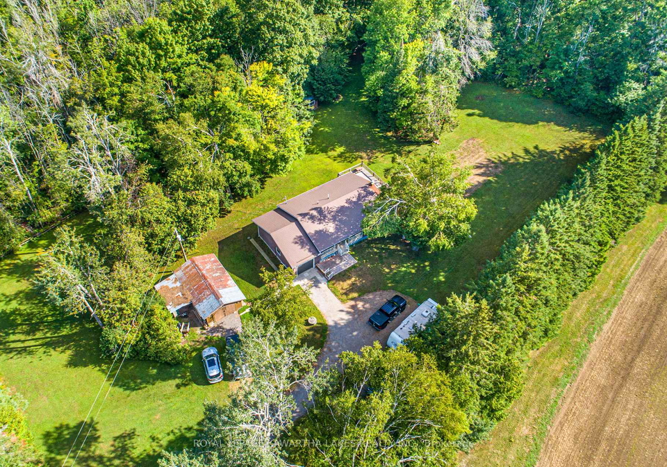 426-farms-road-kawartha-lakes-ontario-x12362353