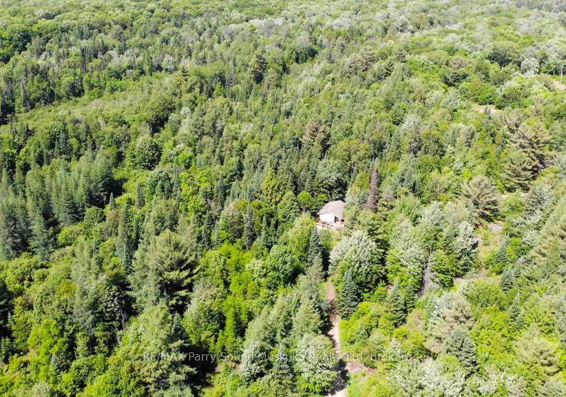 17-ainslie-lake-road-whitestone-ontario-x12363299
