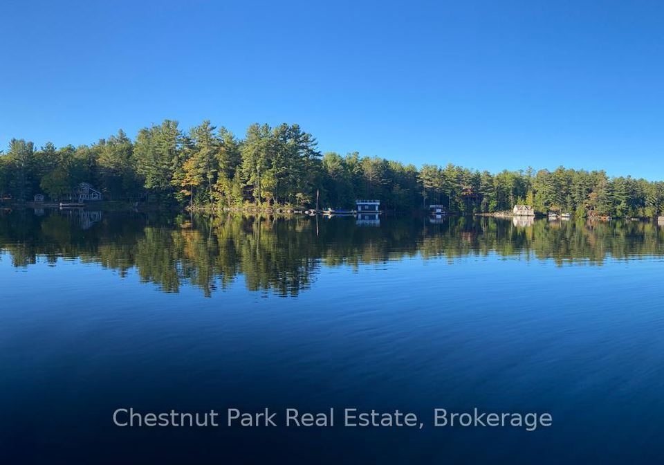 86-taylor-island-gravenhurst-ontario-x12363817