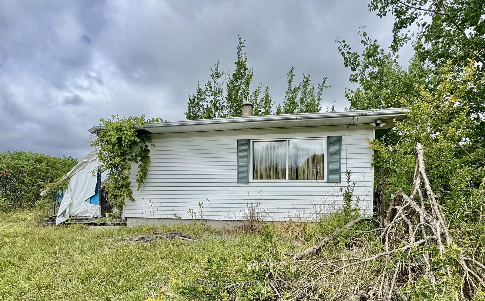 2260-buckhorn-road-selwyn-ontario-x12366652