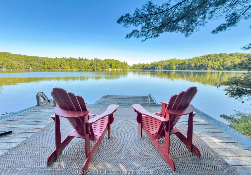 1014-twilight-close-court-algonquin-highlands-ontario-x12366853