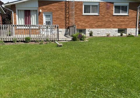 201-e-niles-st-street-e-prince-edward-county-ontario-x12367538