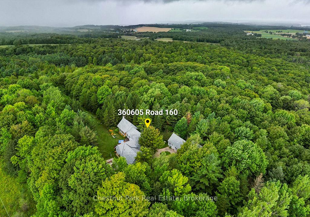 360605-160-road-grey-highlands-ontario-x12369164