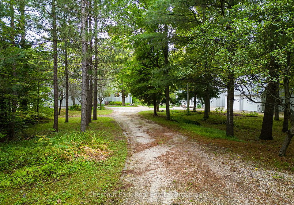 360605-160-road-grey-highlands-ontario-x12369164