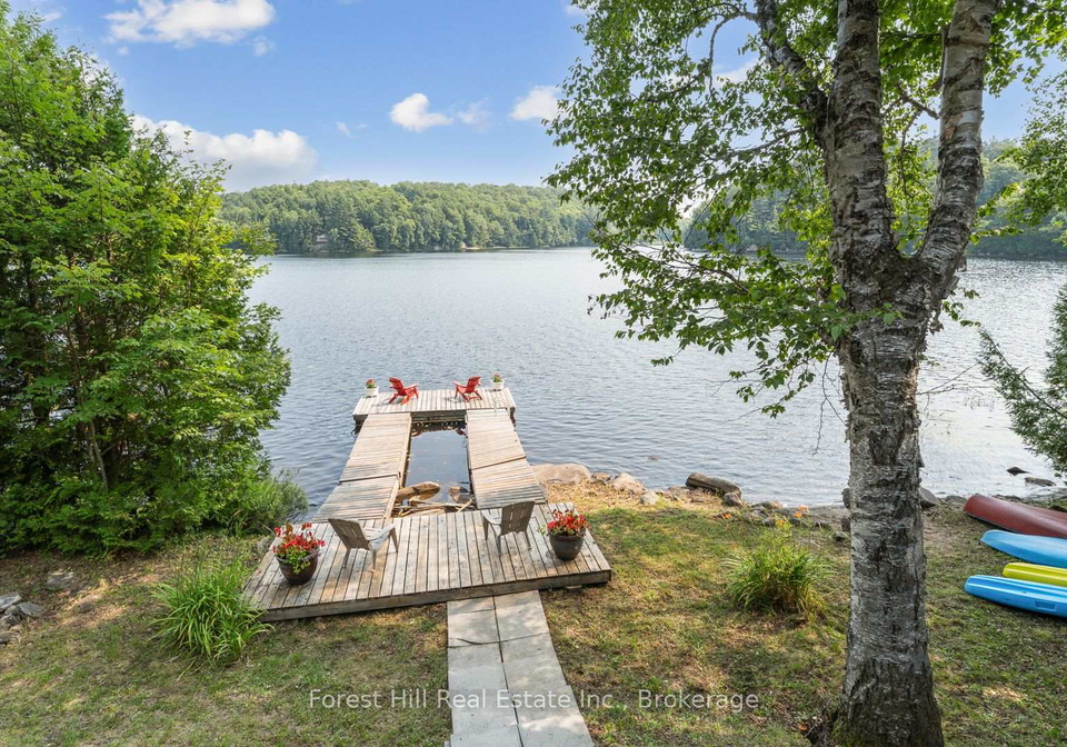 3477-livingstone-lake-road-algonquin-highlands-ontario-x12369399