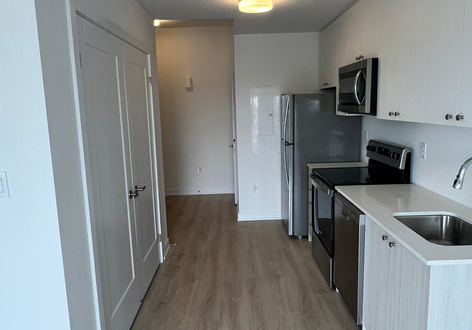 40-palace-street-kitchener-ontario-x12370074