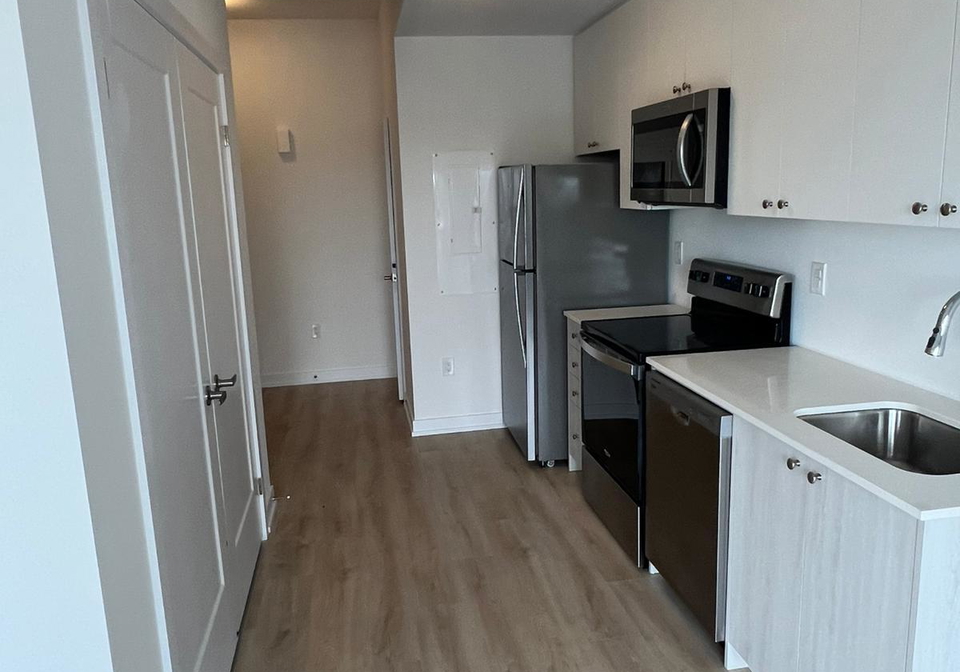 40-palace-street-kitchener-ontario-x12370074