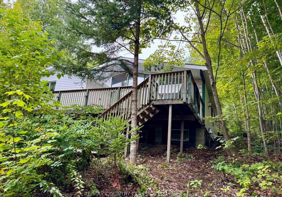 256-elgin-road-hastings-highlands-ontario-x12370611