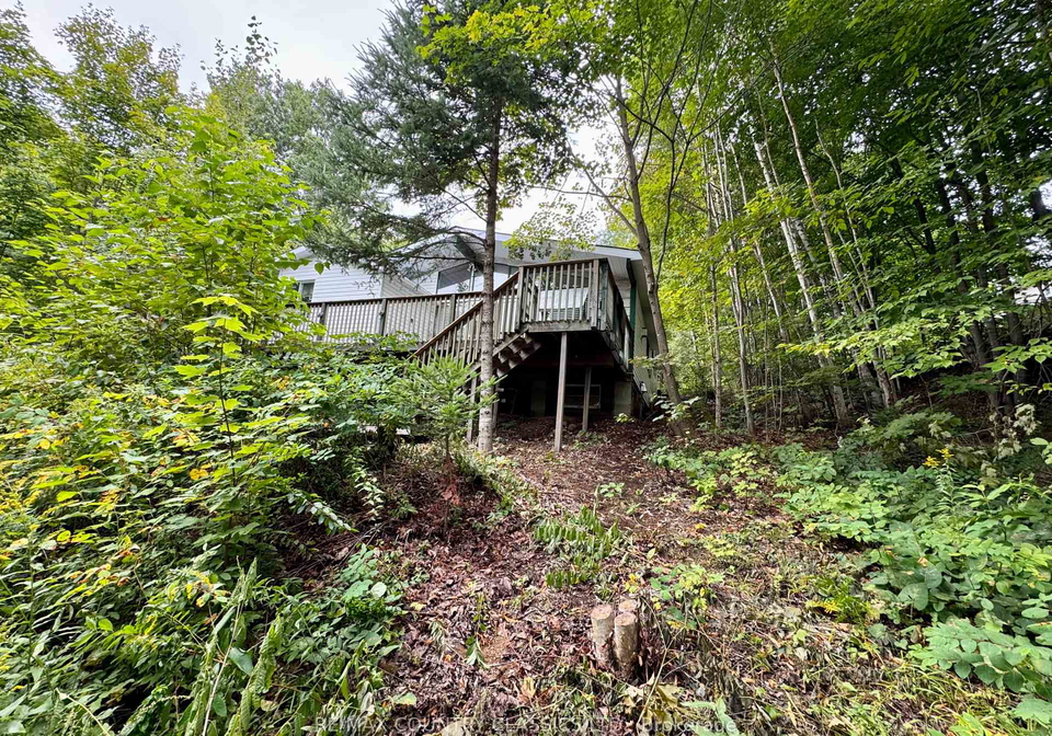 256-elgin-road-hastings-highlands-ontario-x12370611