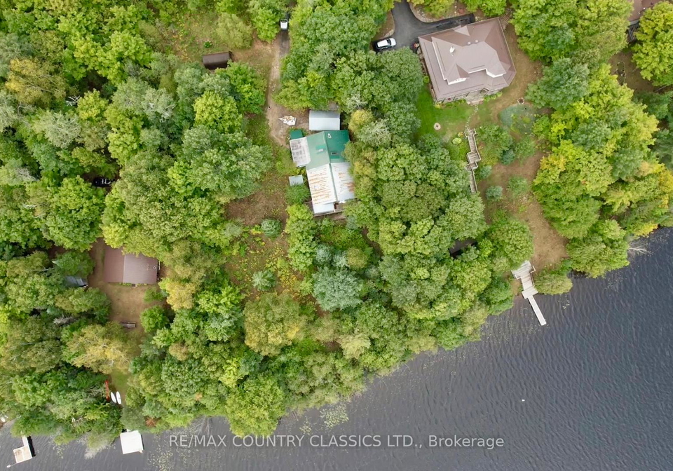 256-elgin-road-hastings-highlands-ontario-x12370611