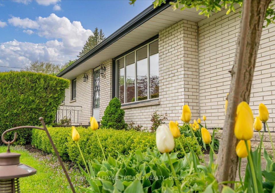 245-coad-street-southwest-middlesex-ontario-x12371813