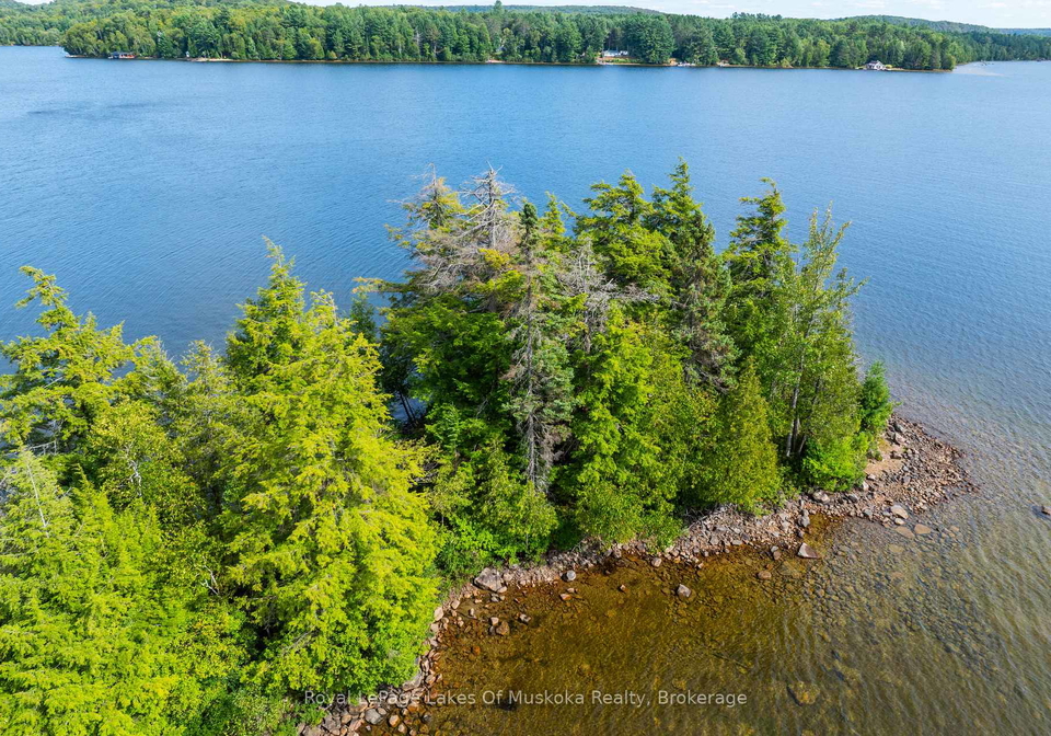 1053-robson-lane-lake-of-bays-ontario-x12371838
