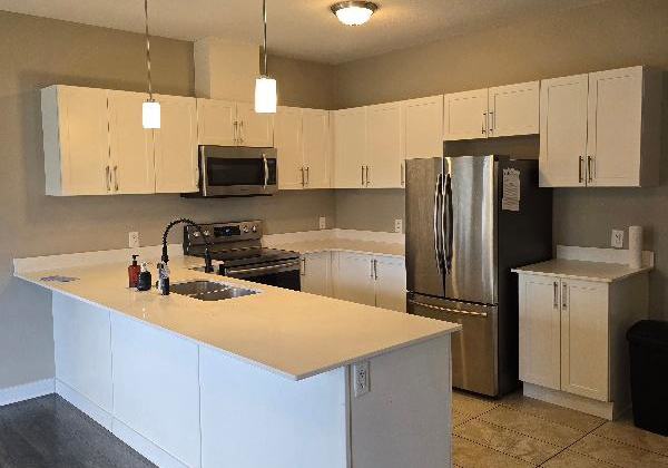 439-athlone-avenue-woodstock-ontario-x12374196