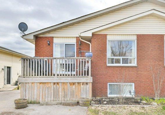 162-prince-edward-street-brighton-ontario-x12375274