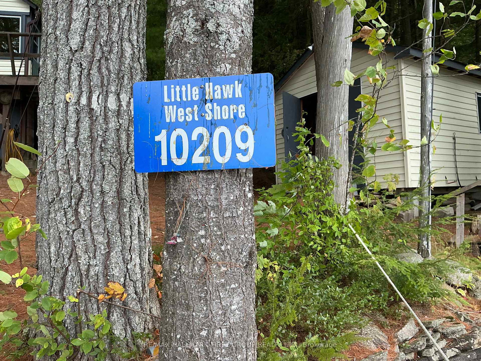 10209-little-hawk-west-shore-algonquin-highlands-ontario-x12376644