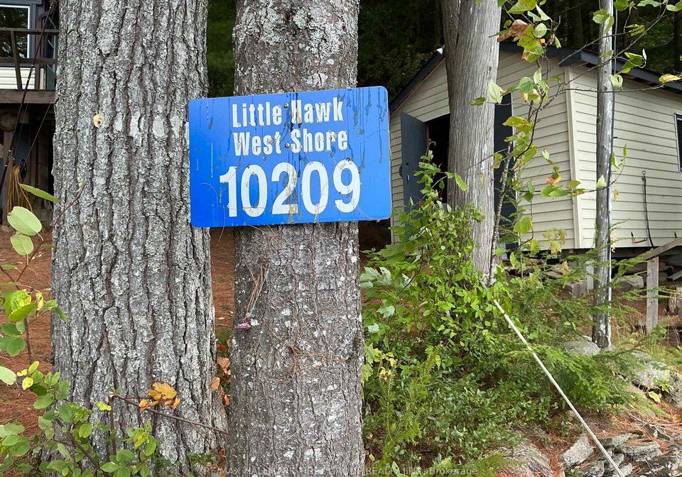 10209-little-hawk-west-shore-algonquin-highlands-ontario-x12376644