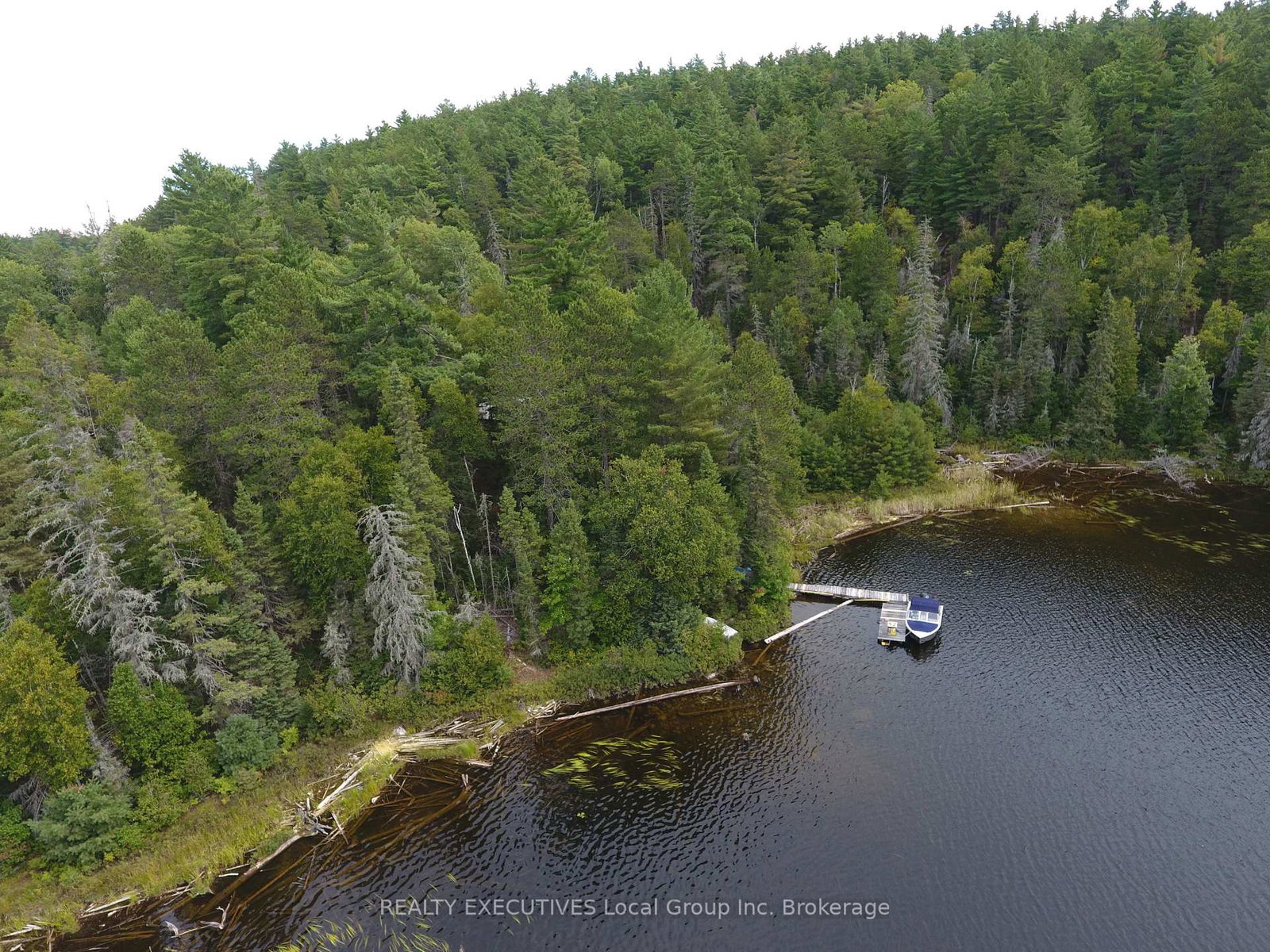 13459-rabbit-lake-island-w-temagami-ontario-x12377671