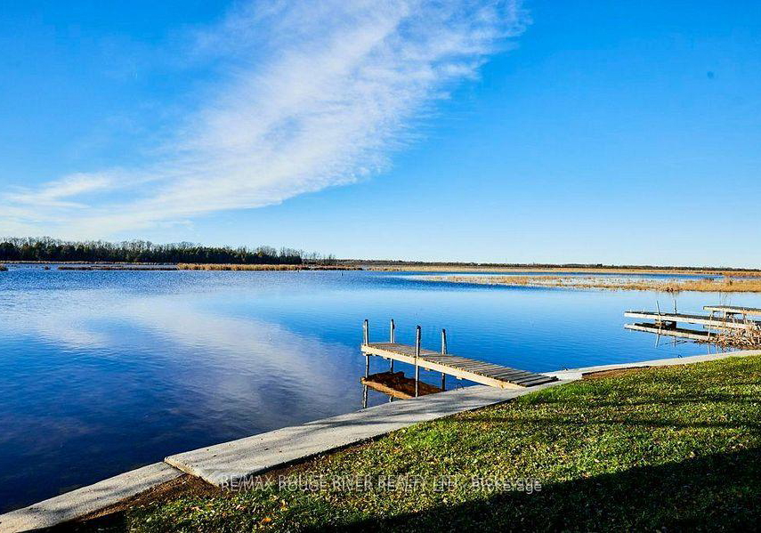 81-laird-drive-kawartha-lakes-ontario-x12379264