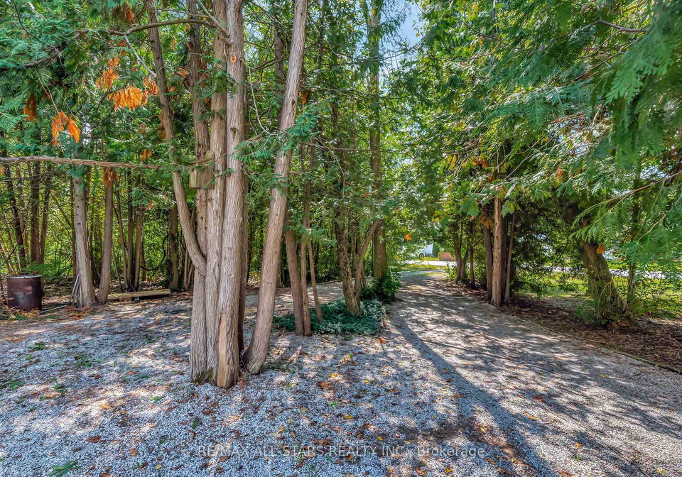 50-bayview-estate-road-kawartha-lakes-ontario-x12379983