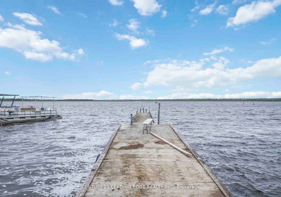 164-snug-harbour-road-kawartha-lakes-ontario-x12380212