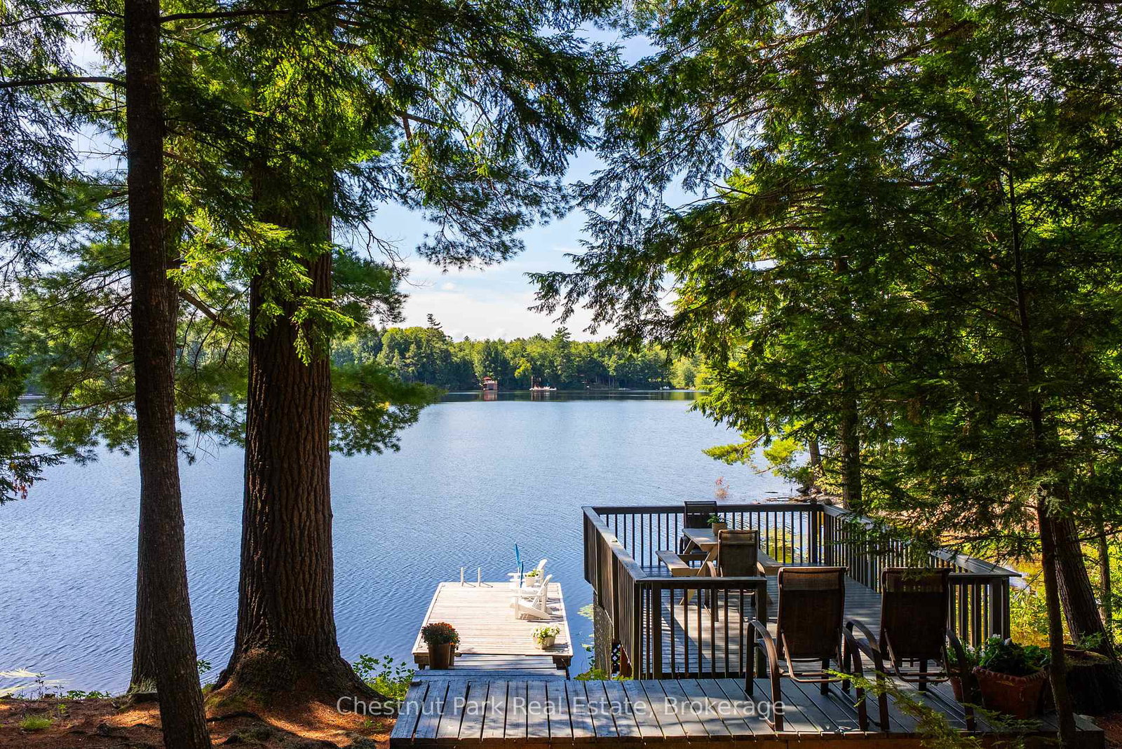 1192-whites-road-muskoka-lakes-ontario-x12380264