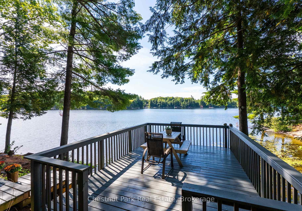 1192-whites-road-muskoka-lakes-ontario-x12380264