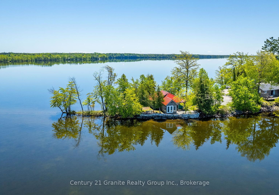 359-avery-point-road-kawartha-lakes-ontario-x12381236