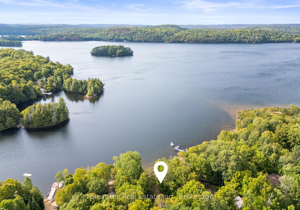 3991-kawagama-lake-road-algonquin-highlands-ontario-x12382832