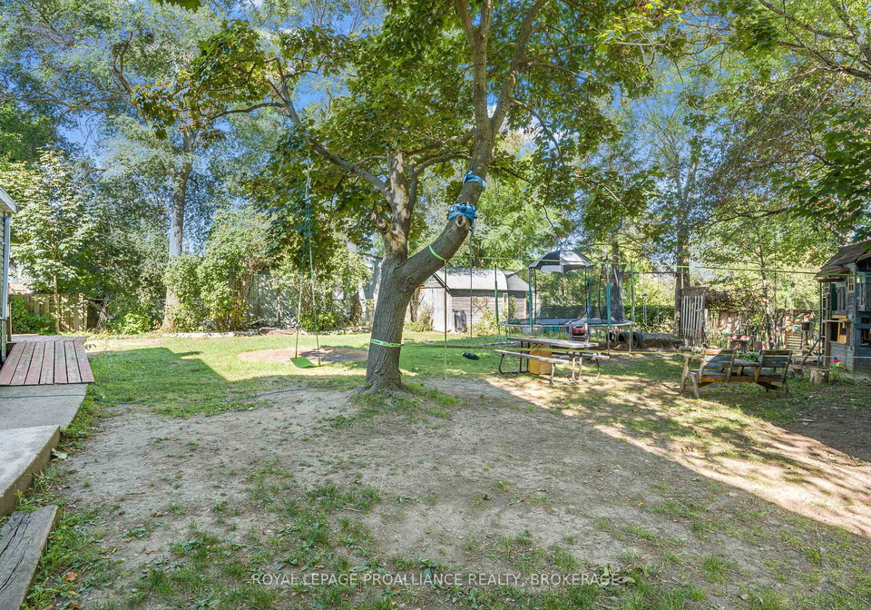 16-st-catherine-street-kingston-ontario-x12382941