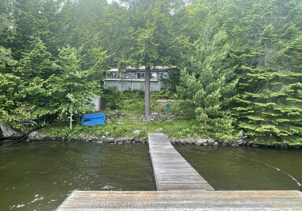 1010-medley-trail-minden-hills-ontario-x12384766