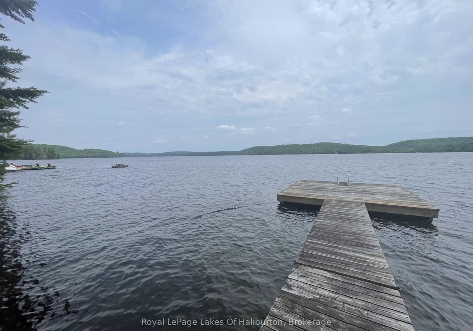 1010-medley-trail-minden-hills-ontario-x12384766