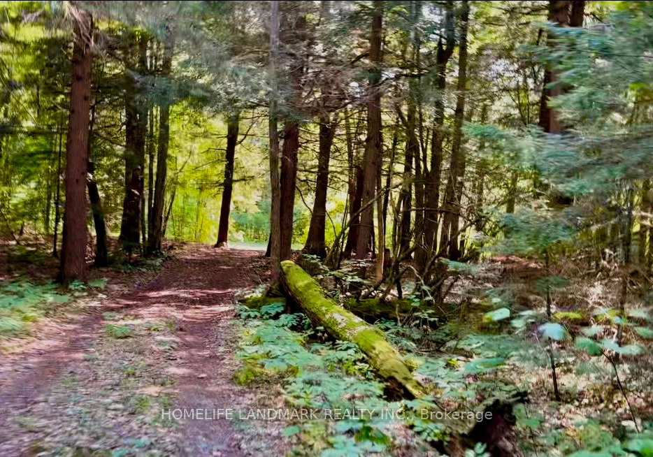 1663-mississaugi-bay-road-huron-shores-ontario-x12387322