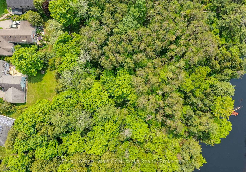 17-sadler-drive-bracebridge-ontario-x12388127