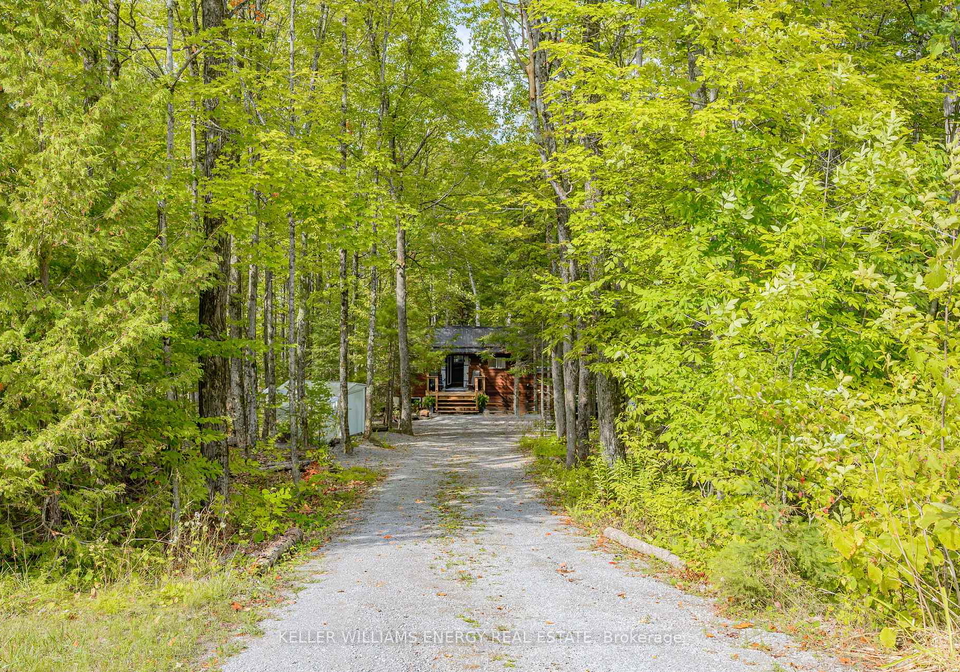 260-edwina-drive-trent-lakes-ontario-x12388461