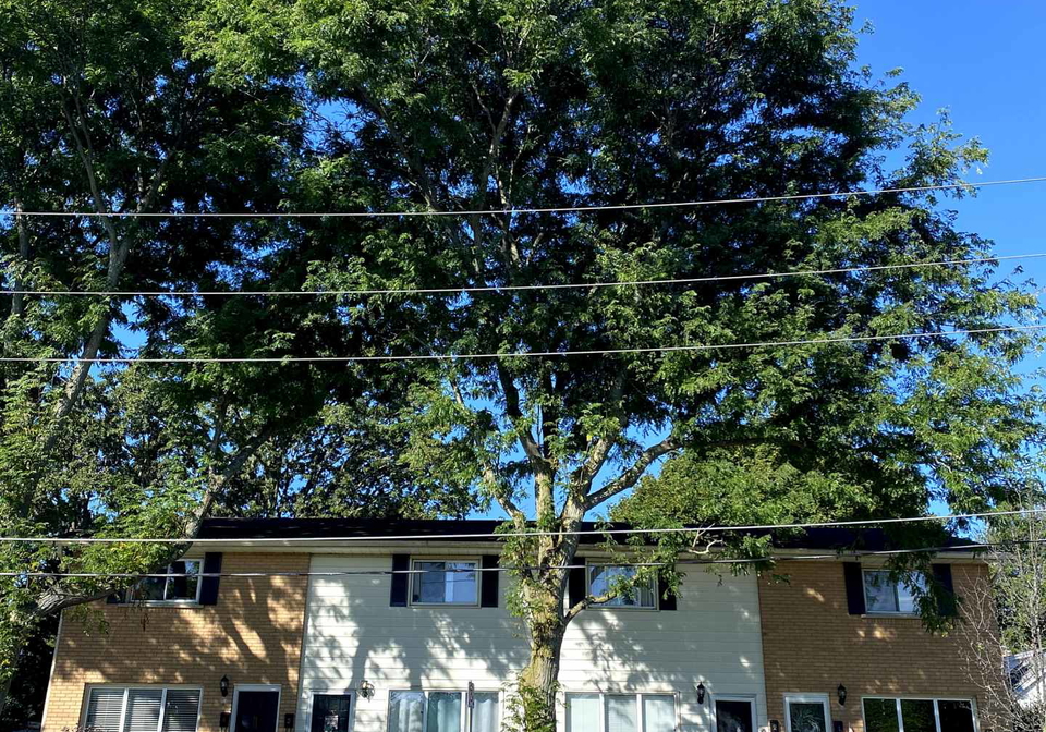 1chalmers-street-s-cambridge-ontario-x12389564