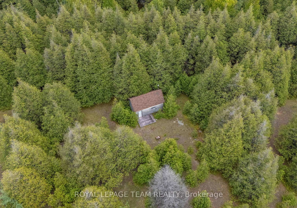 7236-a-harnett-road-ottawa-ontario-x12391045