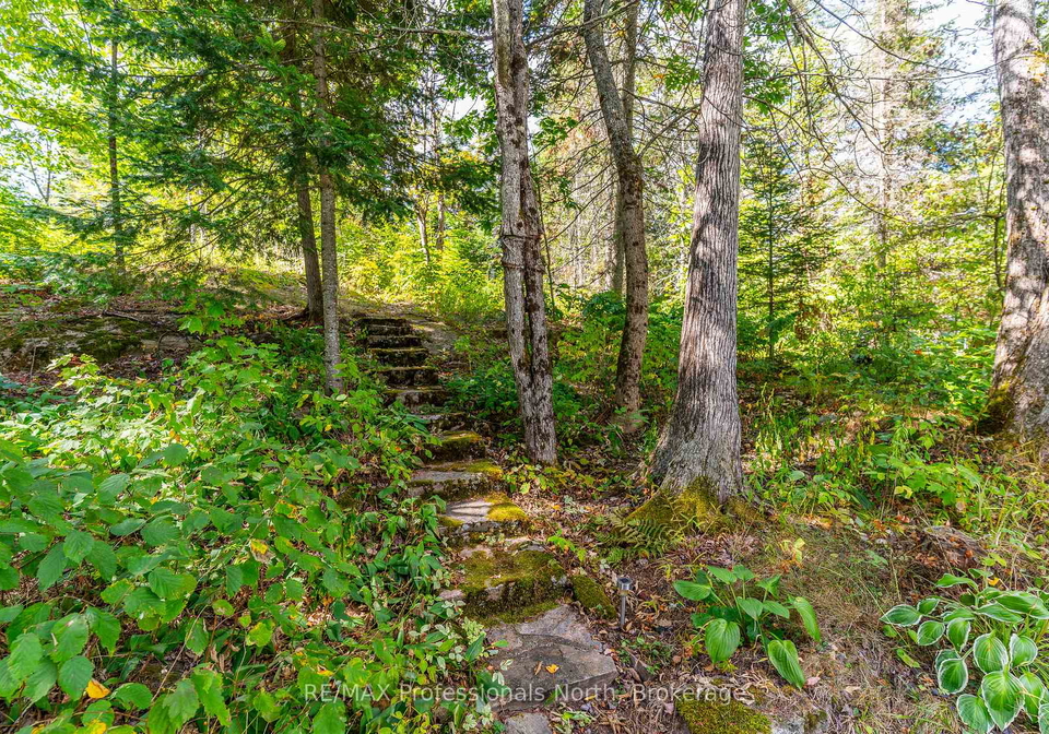 1468-twelve-mile-lake-road-minden-hills-ontario-x12391467