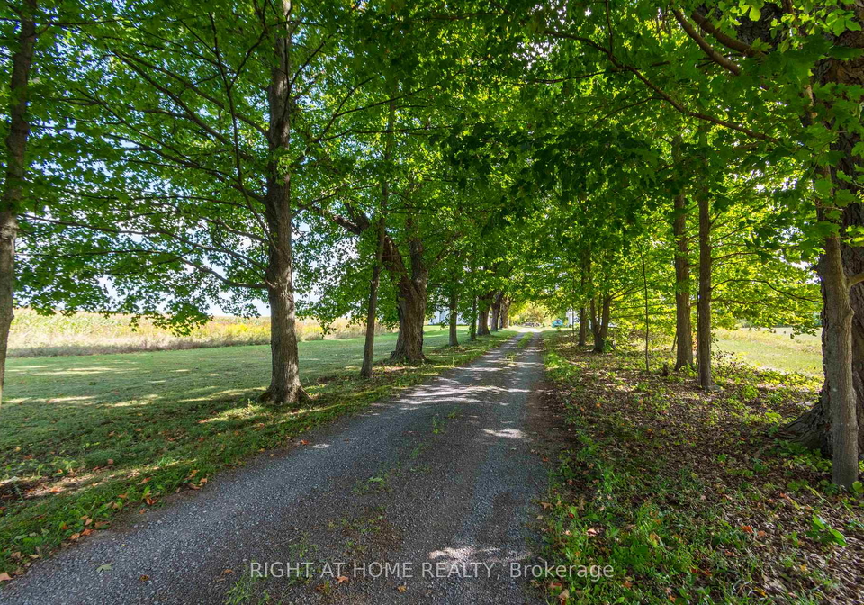 7-pitts-landing-road-madoc-ontario-x12391905