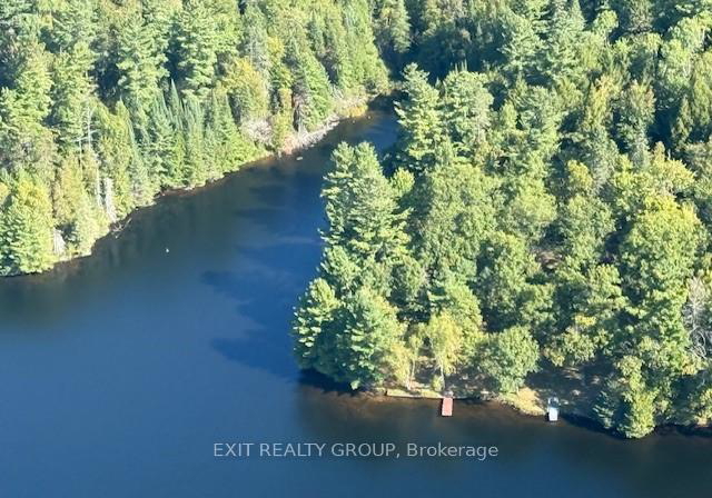 5420-centennial-lake-road-greater-madawaska-ontario-x12392056