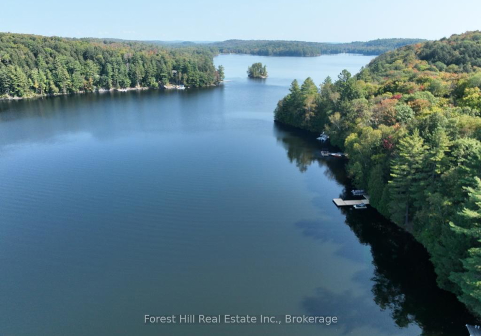 1023-twilight-close-lane-w-algonquin-highlands-ontario-x12392342