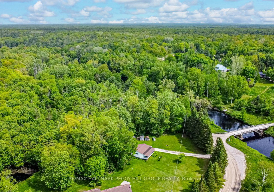 311-black-river-road-kawartha-lakes-ontario-x12395090