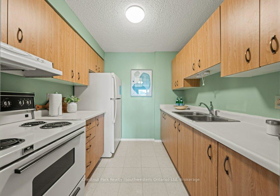 358-waterloo-avenue-guelph-ontario-x12397234
