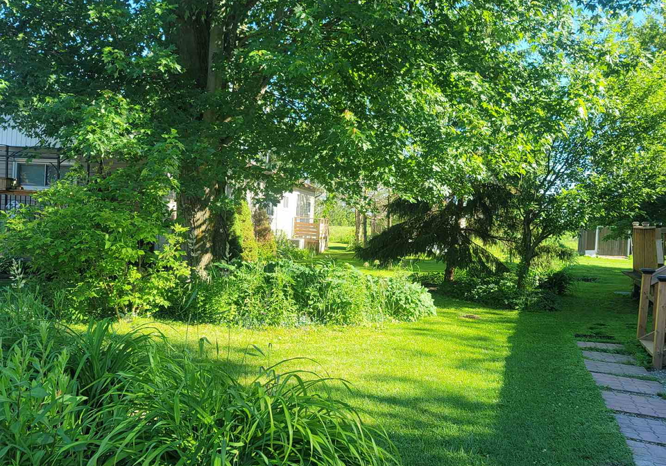 75049-hensall-road-huron-east-ontario-x12399152