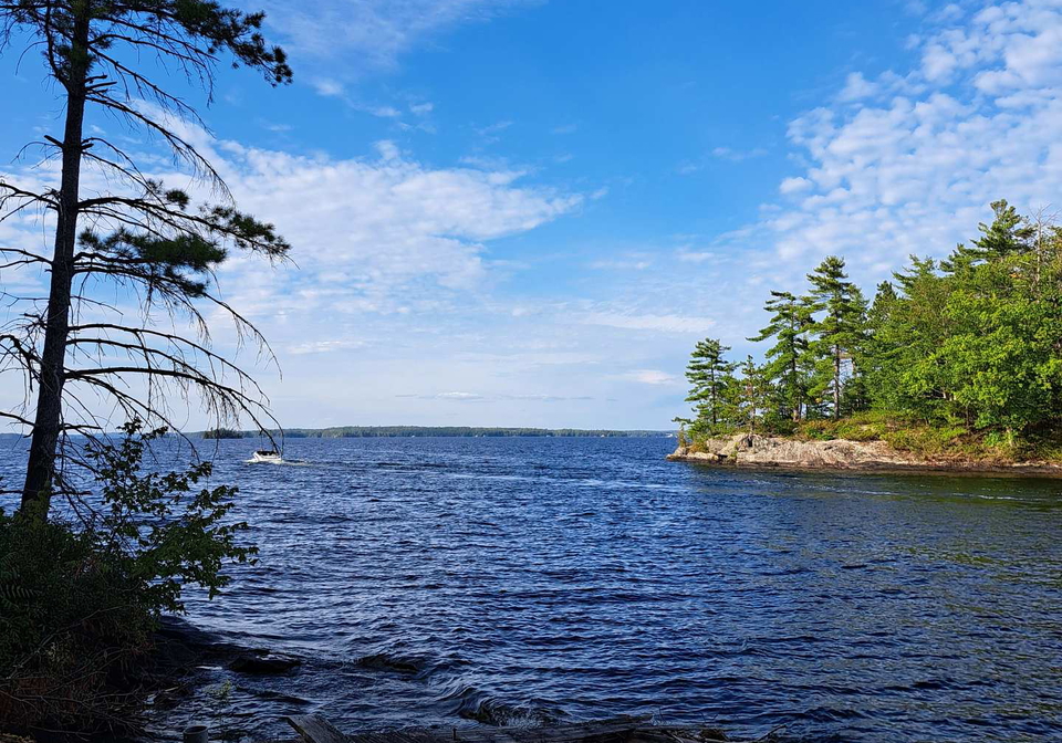 1355-narrows-road-gravenhurst-ontario-x12401946