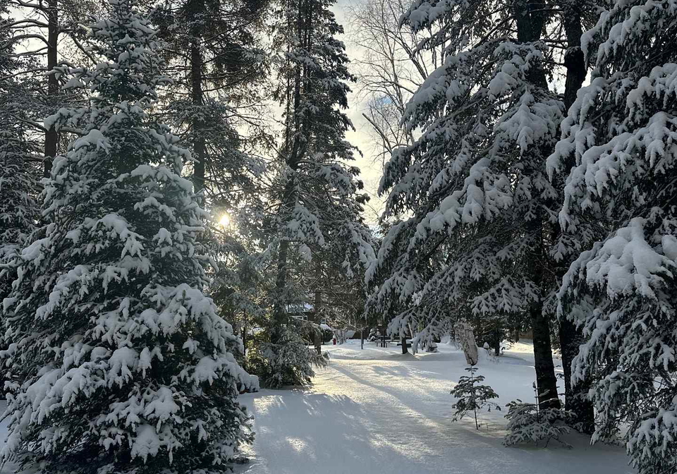 315-somerville-11-concession-kawartha-lakes-ontario-x12402651